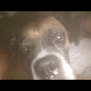 Meet your Posher, Larry